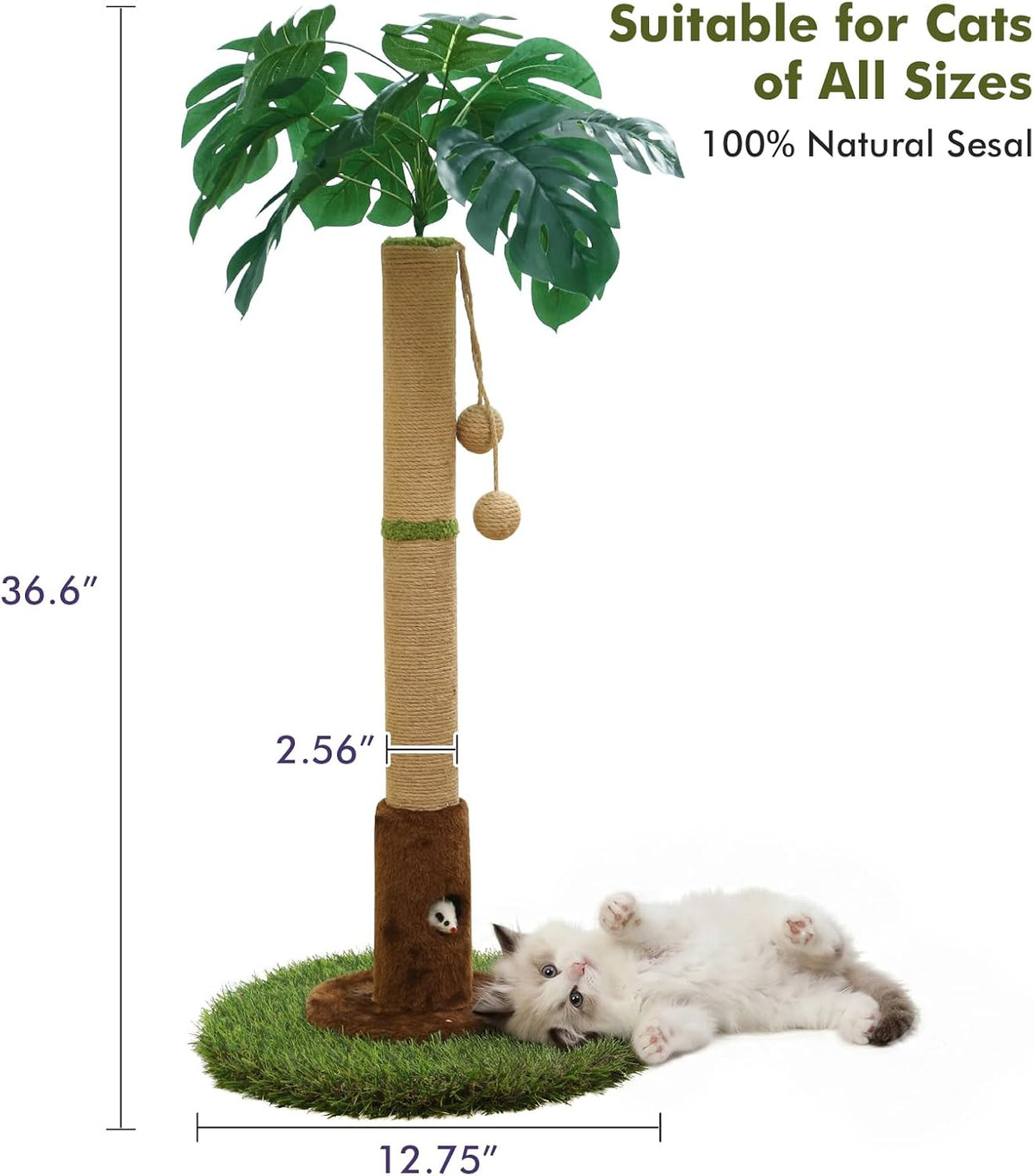 35" inch Cat Scratching Post - 35.34-Brown / 35.4in - image 3