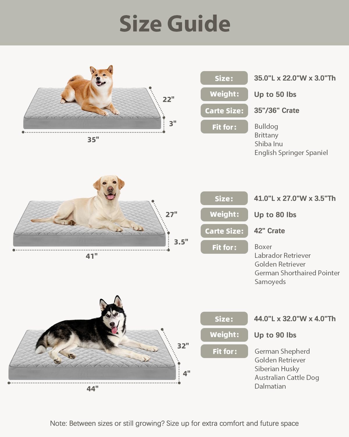 Orthopedic XL Dog Beds Large Sized with Washable Cover, 41x27 - 41.0"L x 27.0"W x 3.5"Th / Pink - image 3