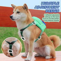 Dog Backpack Harness with Leash - Medium / Green - image 3