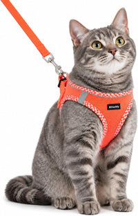 Rttochfy Cat Harness and Leash Set, Escape Proof Kitten Harness - L (Chest:17.5"-19.5") / Orange