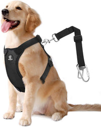 Dog Seat Belt Vest Harness for Car - Black / L (Chest: 22-32.3", Neck: 16.9-26")