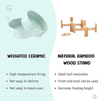 SPUNKYJUNKY 15° Slanted Ceramic Dog and Cat Bowl with Wooden Stand, Tilted Bulldog Food and Water Bowl No Slip Non-Spill for Cats Medium Dogs Big Face Pets 13.5 OZ (1.7 Cups, Morandi Green × 2)