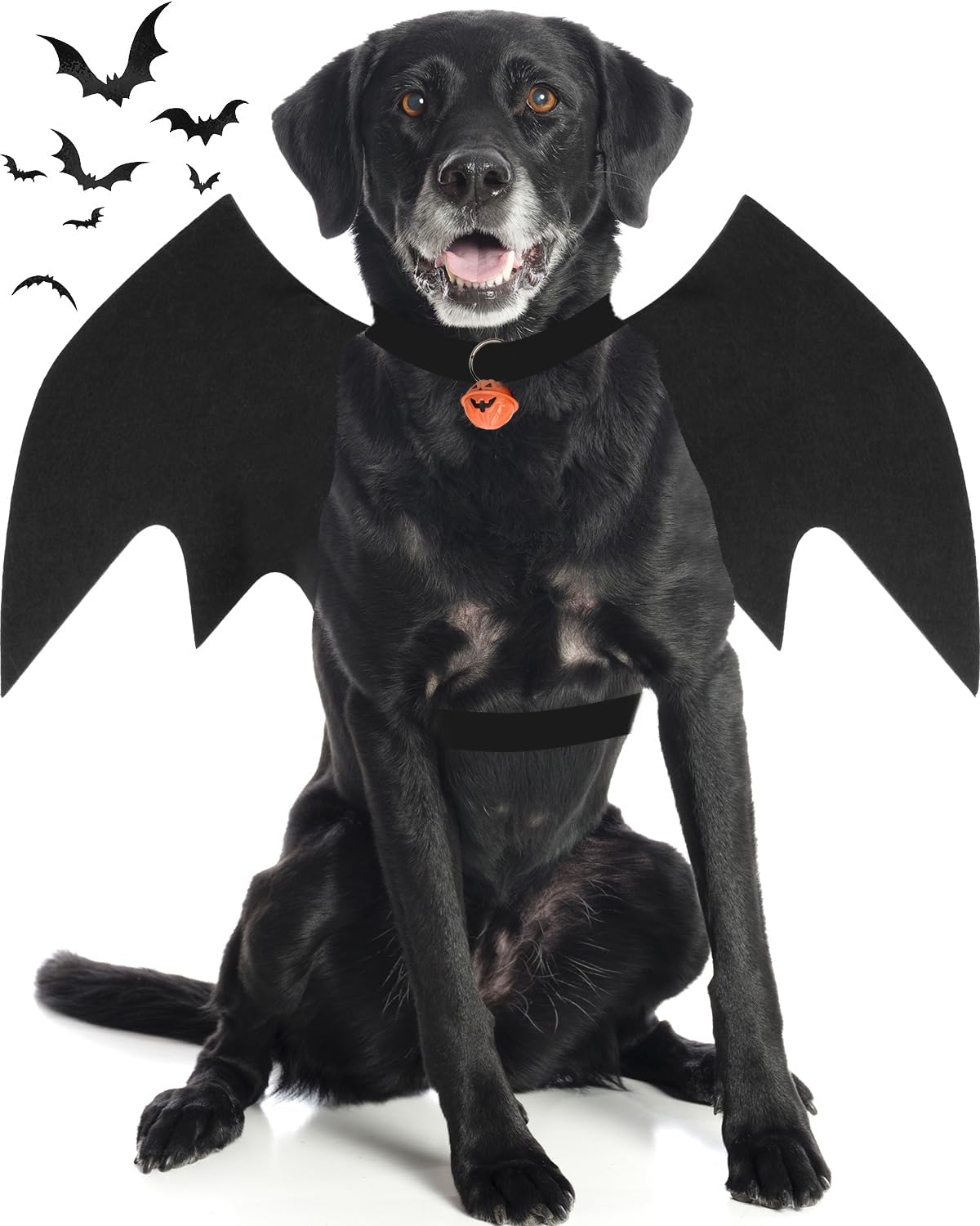 Dog Halloween Costumes for Large Dogs - Large