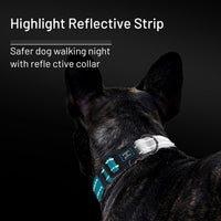 Roses&Poetry Reflective Dog Collar with Gradient Mistyrose - Medium / Teal - image 2