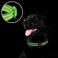 Reflective Dog Collar, Neoprene Padded Small Dog Collar, S - Small (Pack of 1) / Green - image 4