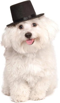 Rubies Top Hat Pet Hat for Dogs or Cats, M/L – Essentials for Dogs - Medium-Large