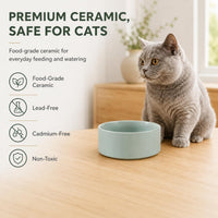 Cat Bowls Set of Two, 5.1” Ceramic Cat Food Bowls - Light Green / 2 Bowls - 5.1" - image 4