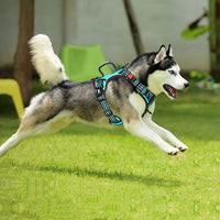PoyPet No Pull Dog Harness, No Choke Front Clip Reflective Dog Vest with Soft Padded Vertical Handle, 3 Leash Attachments for Small Medium Large Dogs (Mint Blue,L)