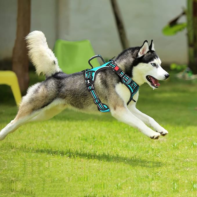 PoyPet No Pull Dog Harness, No Choke Front Clip Reflective Dog Vest with Soft Padded Vertical Handle, 3 Leash Attachments for Small Medium Large Dogs (Mint Blue,L)
