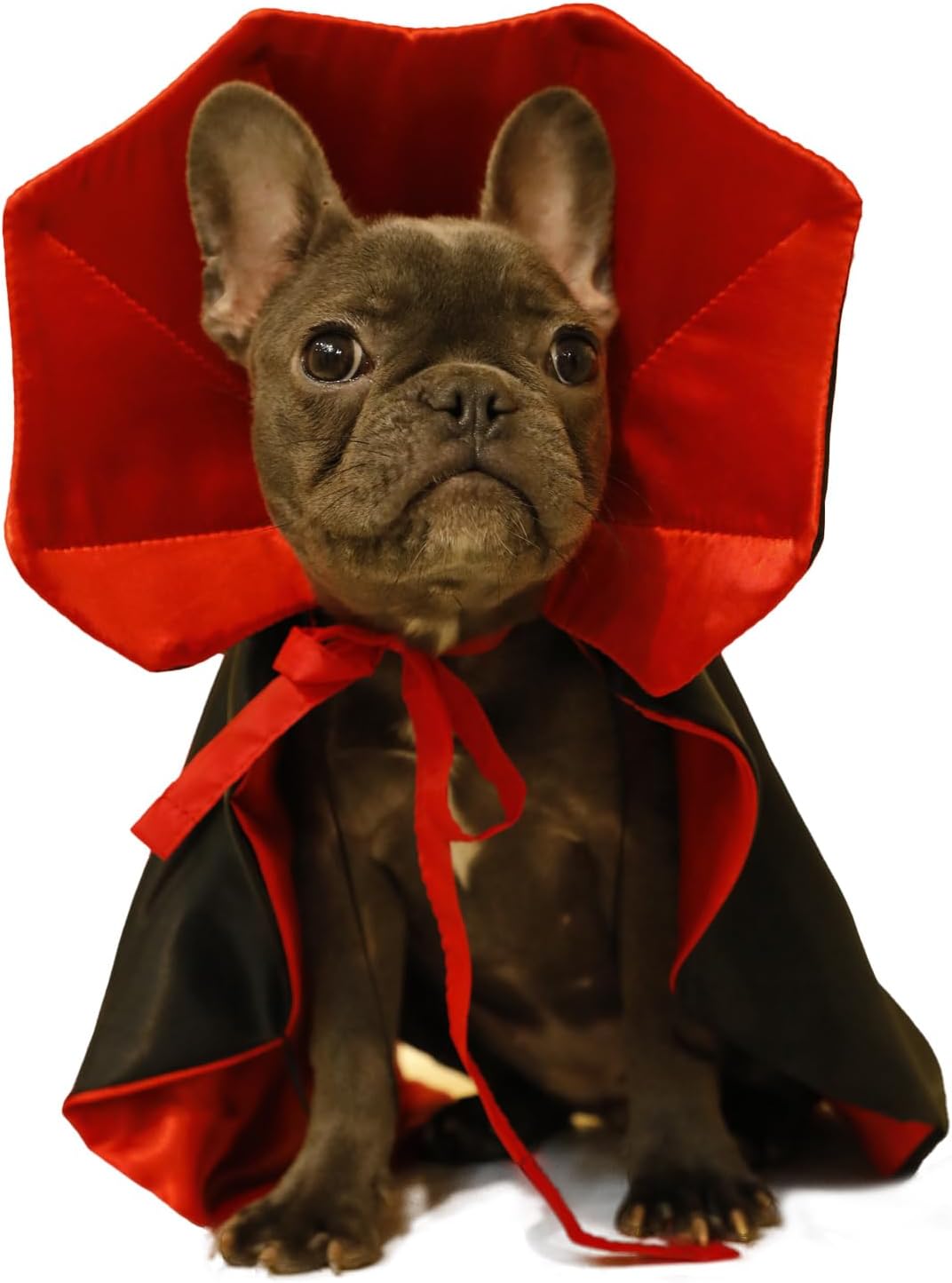 Dog Cat Vampire Cloak Costume for Small Medium Large Dogs Cats - Medium