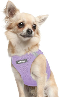 rabbitgoo Step-in Small Dog Harness - Light Purple / Xxxs(chest:10.8"-11.8")