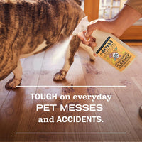 MRS. MEYER'S CLEAN DAY Pet Multi-Surface Cleaner - Orange Blossom / 16 Fl Oz (Pack of 1) - image 3