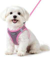 Eagloo Small Dog Harness and Leash Set - S(Chest:15.1"-16.5") / Pink