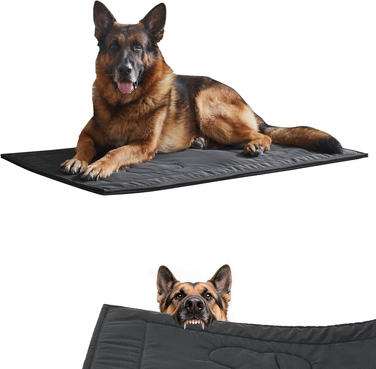 Chew Proof Indestructible Dog Crate Pad - Black / X-Large (28"x47")
