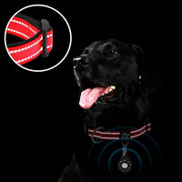 Reflective Dog Collar, Neoprene Padded Small Dog Collar, S - Medium (Pack of 1) / 6#Red（with AirTag Holder） - image 3