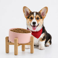 Black Raised/Elevated 15°Slanted Ceramic Dog Bowl for Small Breeds - Khaki / 3.6 CUPS - Medium Dog Bowls