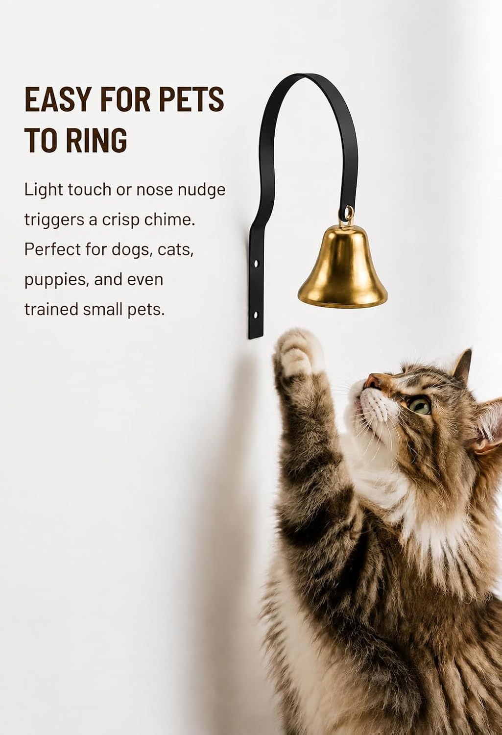 GoldTiger Fixed Metal Dog Doorbell for Potty Training - Black - image 3