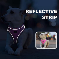 haapaw Dog Harness with Leash Set - XS / Pink - image 2