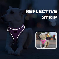 haapaw Dog Harness with Leash Set, No Pull Adjustable Reflective Step-in Puppy Harness with Thickened Padded Vest for Extra-Small/Small Medium Dogs