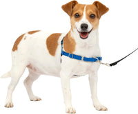 PetSafe Easy Walk Harness, No Pull Dog Harness, Royal Blue - Royal Blue/Navy Blue / Small / 1 - image 2