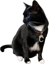 Initial Letter Cuban Chain Dog Chain Pet Chain Pet, Cat - S / 12" - image 3
