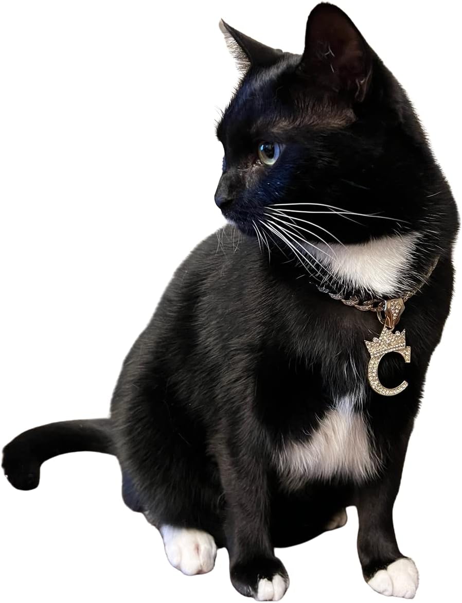 Initial Letter Cuban Chain Dog Chain Pet Chain Pet, Cat - S / 12" - image 3