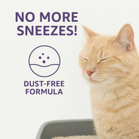 Lavender Scented Cat Litter – 37.8 lb / 20L, Fast Clumping, Natural Odor Absorption, Lightweight Formula, Made with Turkish White Bentonite