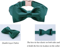 Lionet Paws Bowtie Dog Collar - X-Large (Pack of 1) / Black Green - image 3