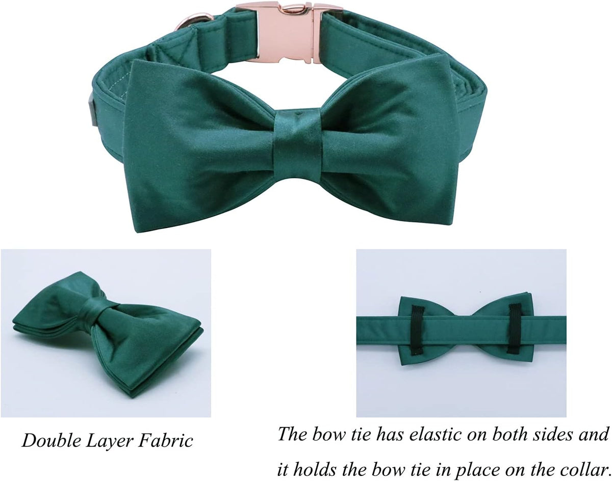 Lionet Paws Bowtie Dog Collar - X-Large (Pack of 1) / Black Green - image 3