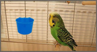 Cage Cups Birds Feeders Seed Bowl Chicken Feeding Watering Dish - 40PCS Blue - image 2