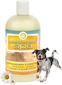 Best Shot Pet Scentament Spa Seasonal Facial & Body Wash - Caribbean Dream / 16 Fl Oz