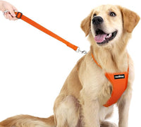 Dog Seat Belt, Safety Vest Dog Car Harness with Adjustable Buckle Dog Seat Belt for Vehicle Nylon Pet Safety Seat Belts Heavy Duty(S, Orange)