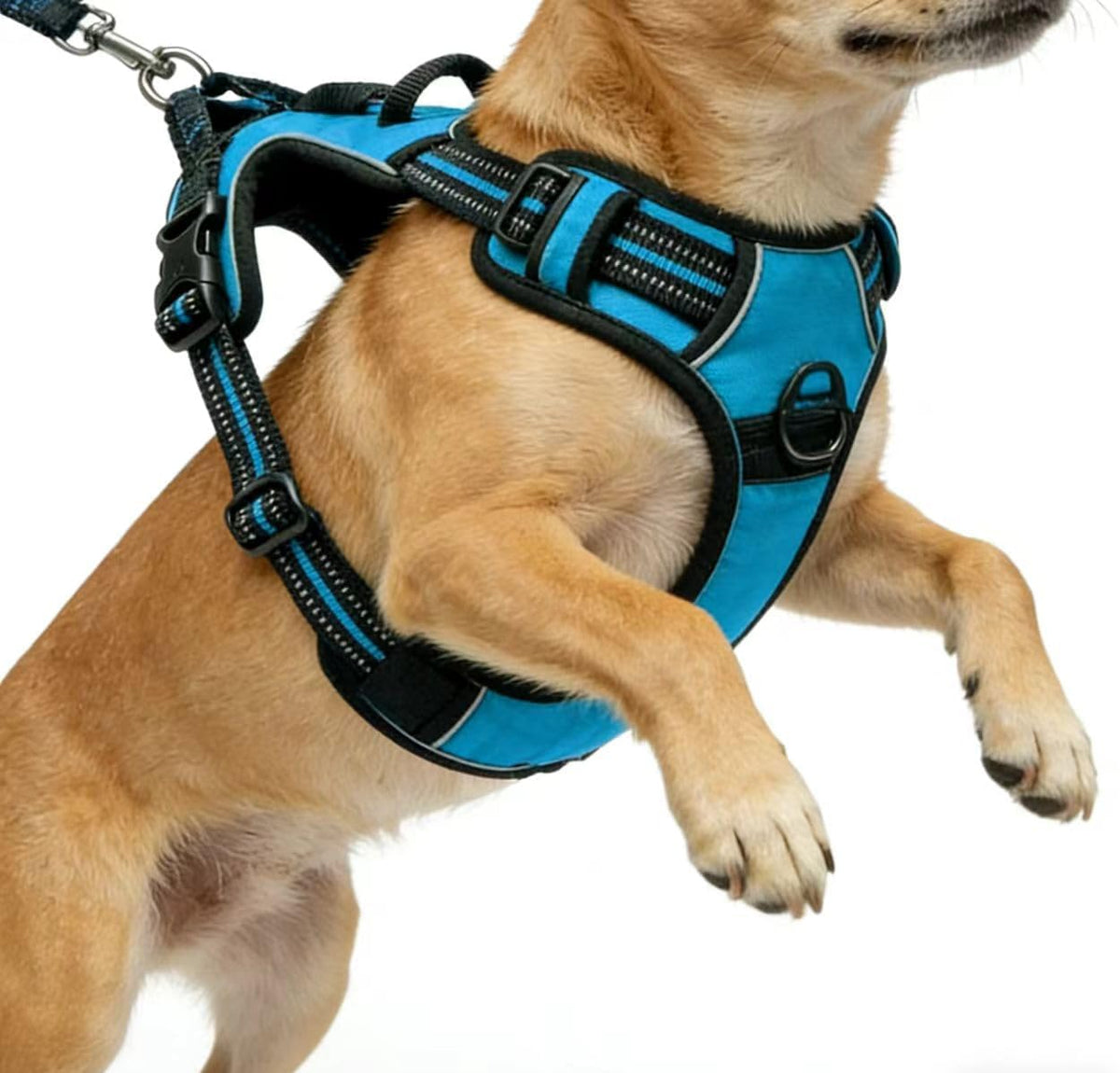 Blue No-Pull Dog Harness with 2 Leash Clips，Soft Padded Vest - Small / Blue