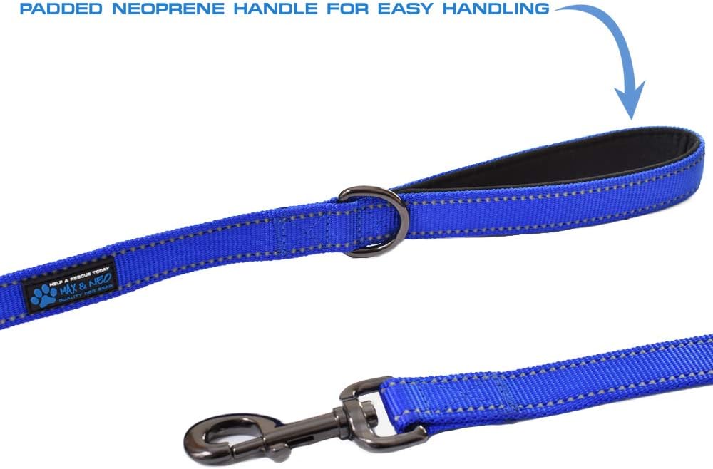 Max and Neo Double Handle Traffic Dog Leash, Reflective - 4 FT / Blue - image 4
