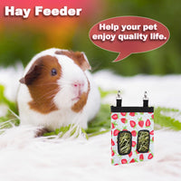 DZWLKJ 2 Pack Hay Feeders, Guinea Pig Rabbit Hay Feeder - Strawberry / S -10"x 8"x 0.4" - image 3