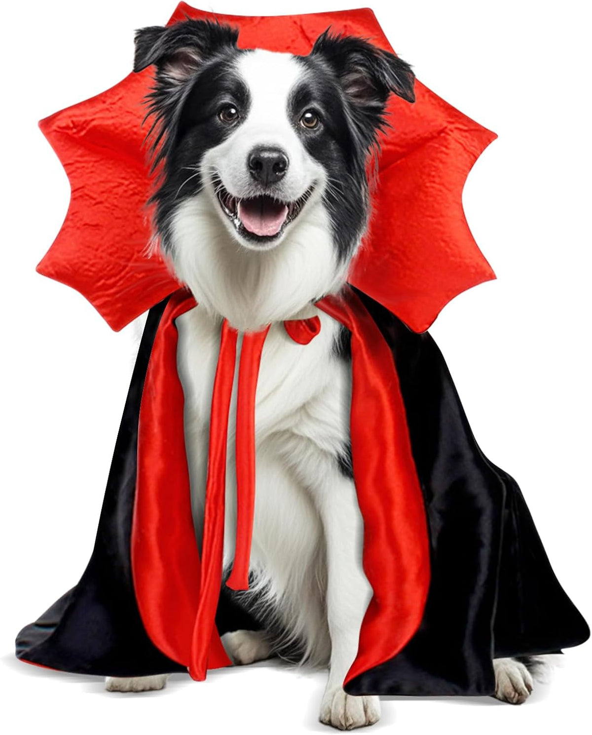 Golden Retriever Halloween Costume - Vampire / Large