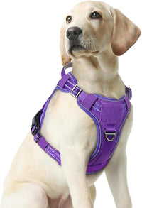 rabbitgoo Dog Harness Medium Sized No Pull, Tactical Service Pet Vest with Molle and Control Handle, Adjustable and Reflective Military Harness for Easy Walking and Training, Purple, M
