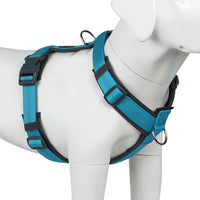 Plutus Pet No Pull Dog Harness - M / Cyan