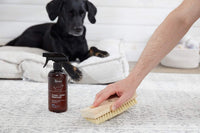 The Spruce Pet Stain & Odor Remover - 17 Fl Oz (Pack of 2) - image 3