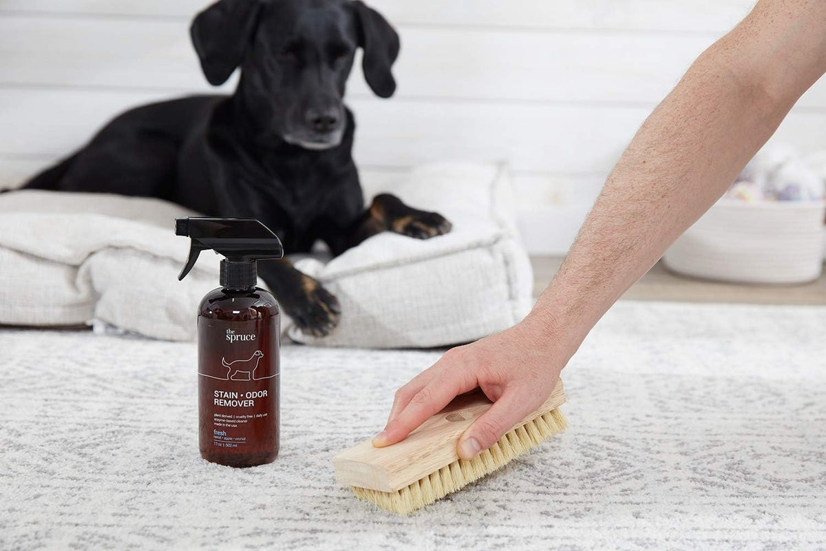 The Spruce Pet Stain & Odor Remover - 17 Fl Oz (Pack of 2) - image 3