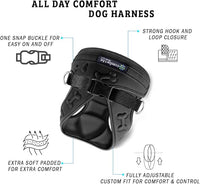 Comfort Fit Dog Harness No Pull with Leash Clips Step in Harness for Small Sized Dogs Soft Padded All Weather Dog Vest with Easy Control No Escape Adjustable Buckles for Dogs & Puppies – Black XS
