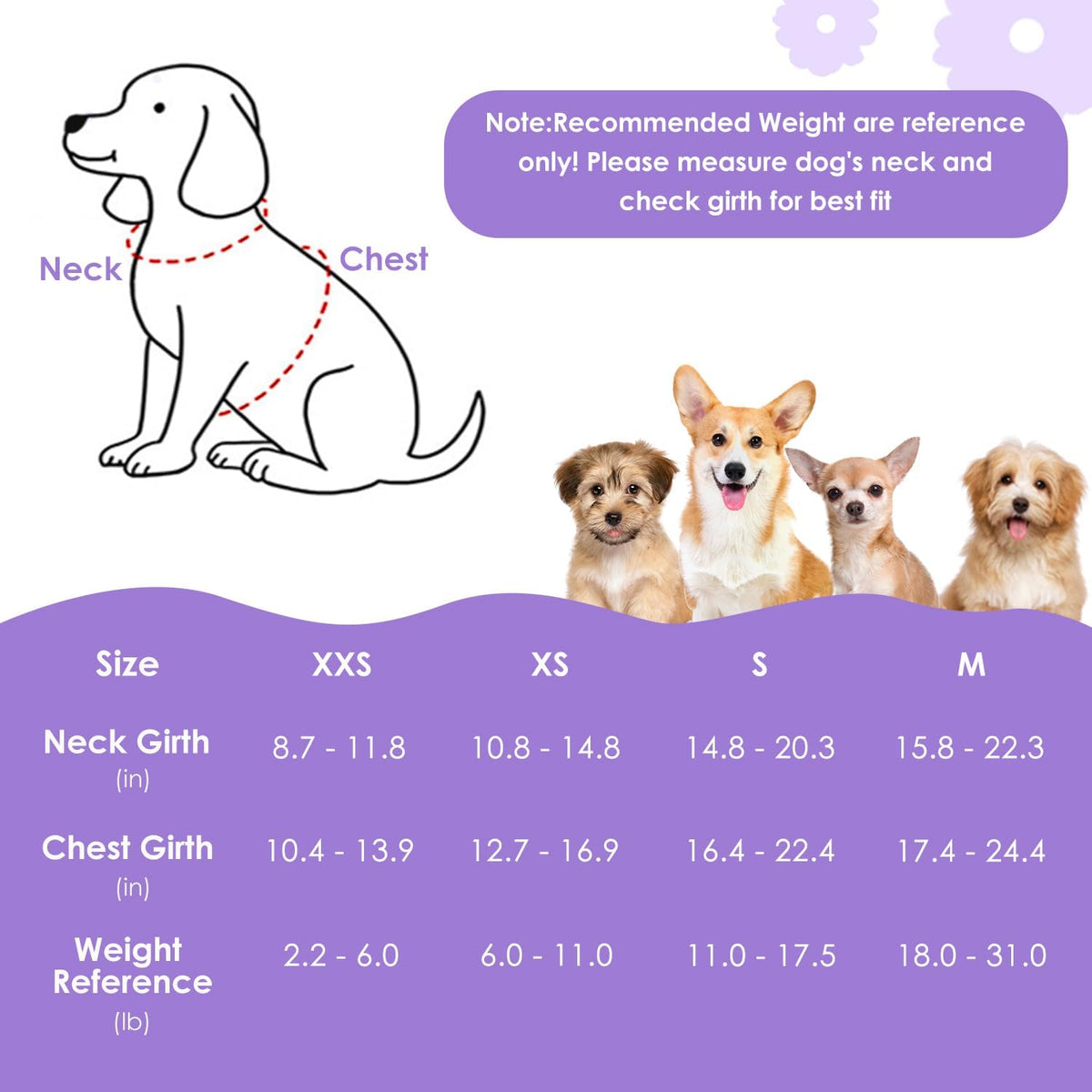 SlowTon No Pull Dog Harness with Leash for Small Medium Dogs - Small(11-17.5lb) / Solid Purple - image 3
