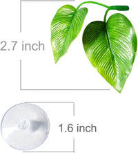 CousDUoBe 2 Pack Betta Fish Leaf Pad Improves Betta's Health - 1 Pack - image 3