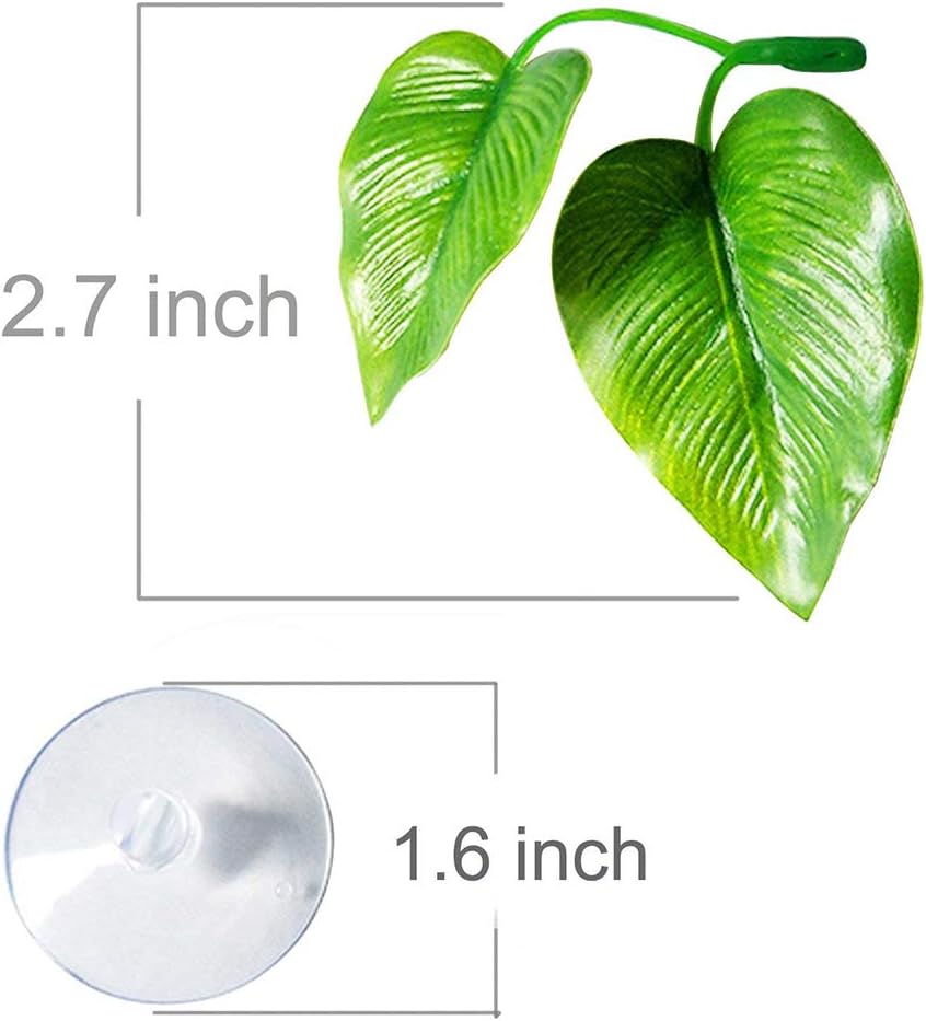 CousDUoBe 2 Pack Betta Fish Leaf Pad Improves Betta's Health - 1 Pack - image 3