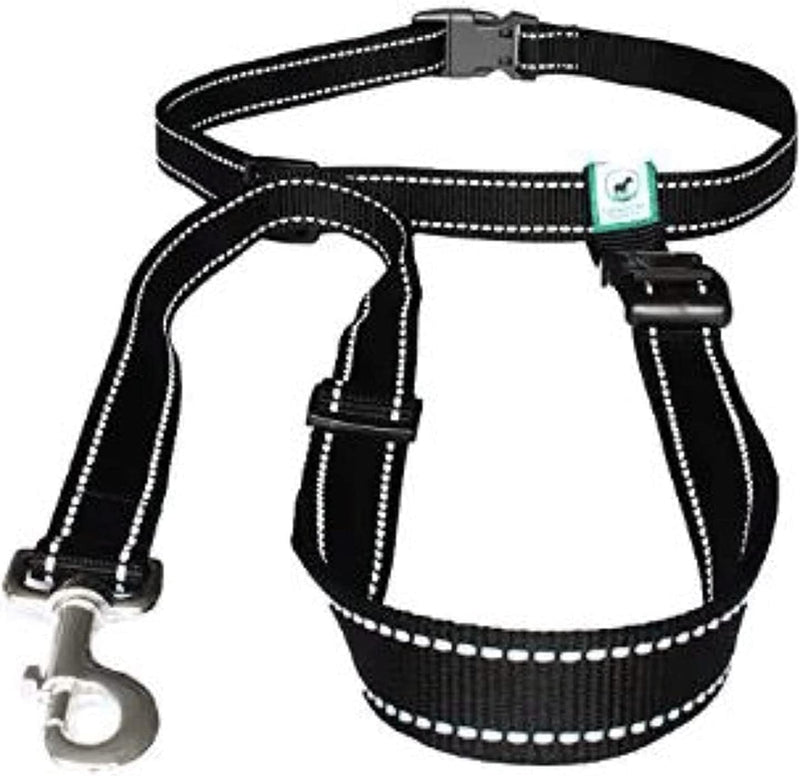 Caldwell's Pet Supply Co. Hands-Free Dog Leash