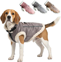 Retro Aviator Dog Jacket – Faux Leather Winter Coat with Plush Sherpa Fleece Lining for Bulldog - Gray / X-Large