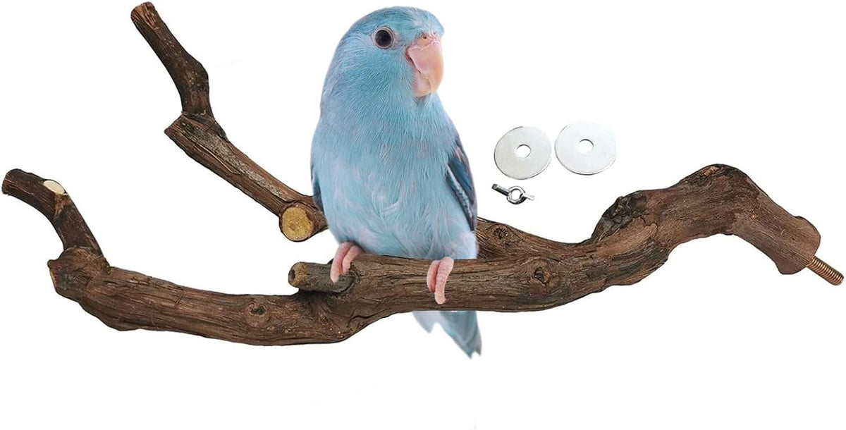 Natural Parrot Perch Bird Stand Pole Wild Grape Stick Paw Grinding - Wild Grape Stick 1 Pcs