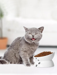 Y YHY Cat Bowl Anti Vomiting, Raised Food Bowls - 5 Inches / White - image 4