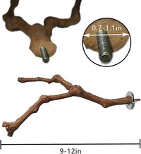PINVNBY Parrot Perches Natural Birds Stand Wild Grape Stick Grinding - 1 PCS: - image 3
