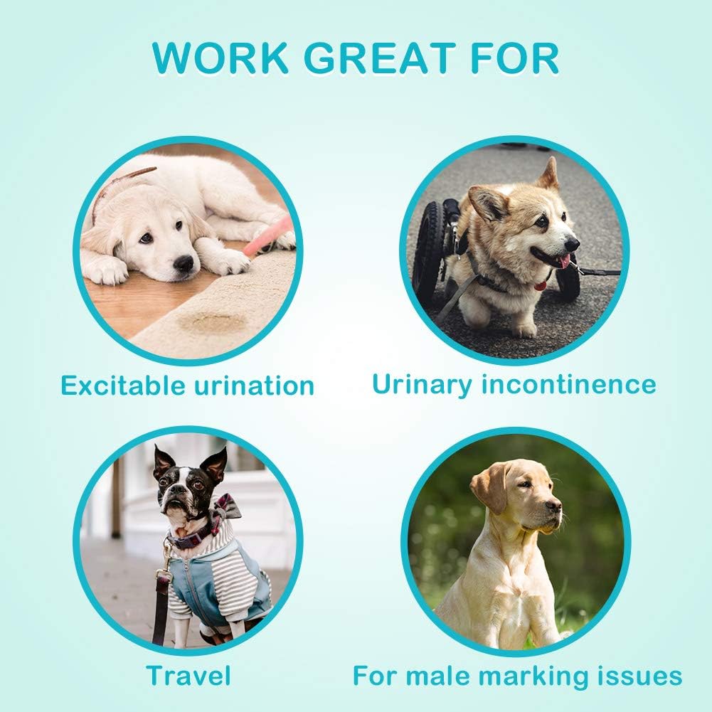 Male Dog Diapers Absorbent Belly Bands for Male Dogs S – Essentials for Dogs - X-Small (Pack of 60) - image 4